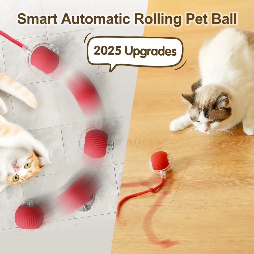 Rechargeable Smart Rolling Cat Ball Toy with Interactive Faux Tail