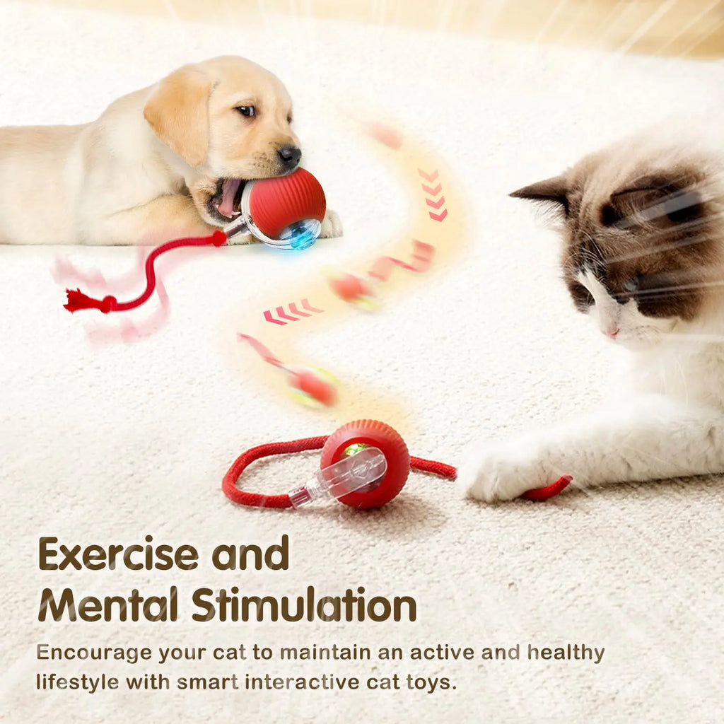 Rechargeable Smart Rolling Cat Ball Toy with Interactive Faux Tail